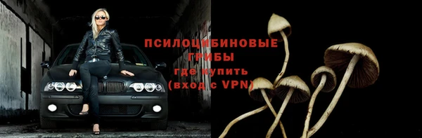 прущая мука Бугульма