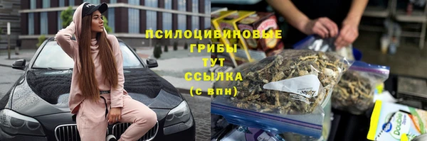 метадон Бородино