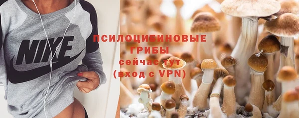 прущая мука Бугульма